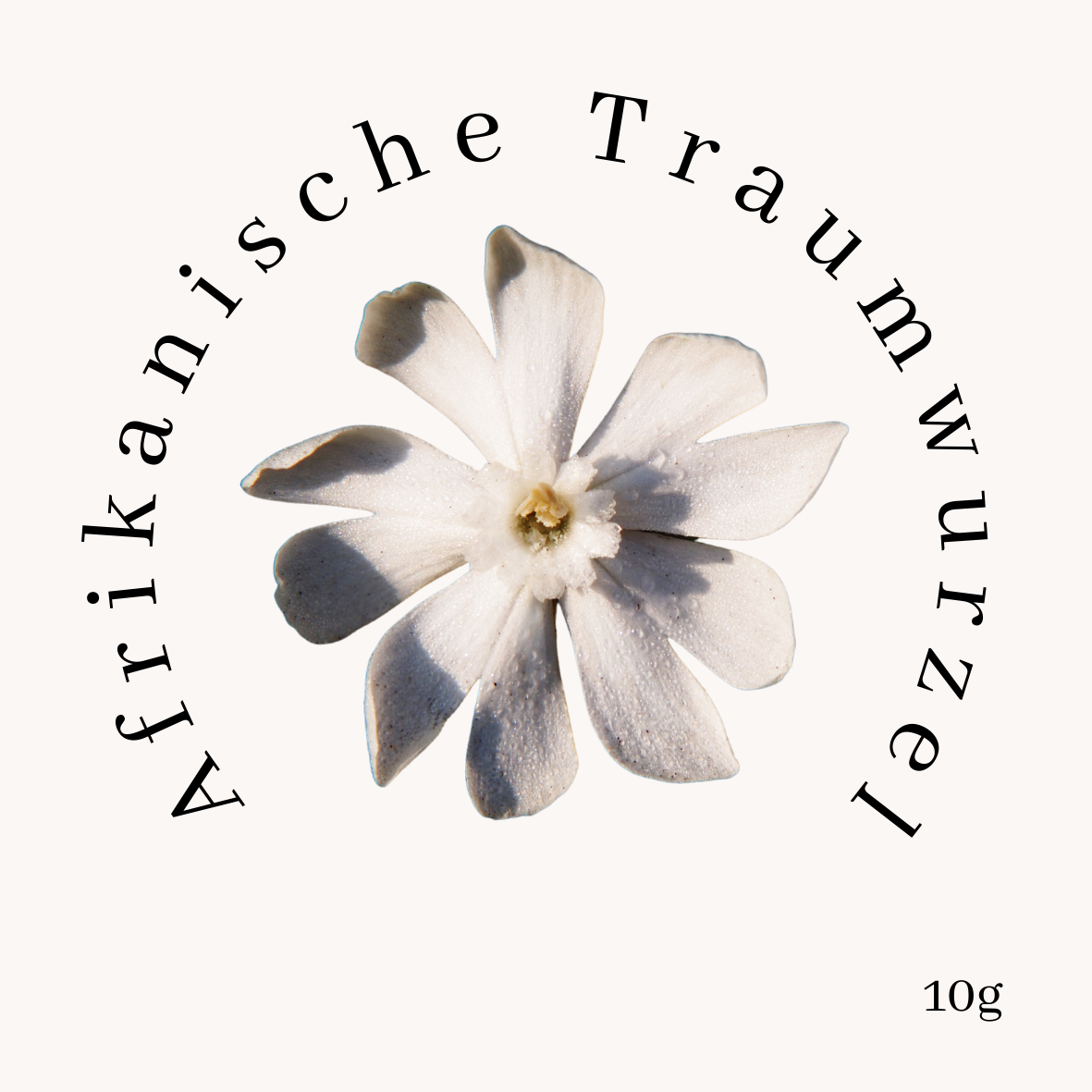 Etikett und Illustration der Afrikanischen Traumwurzel als traditionelles Räucherwerk