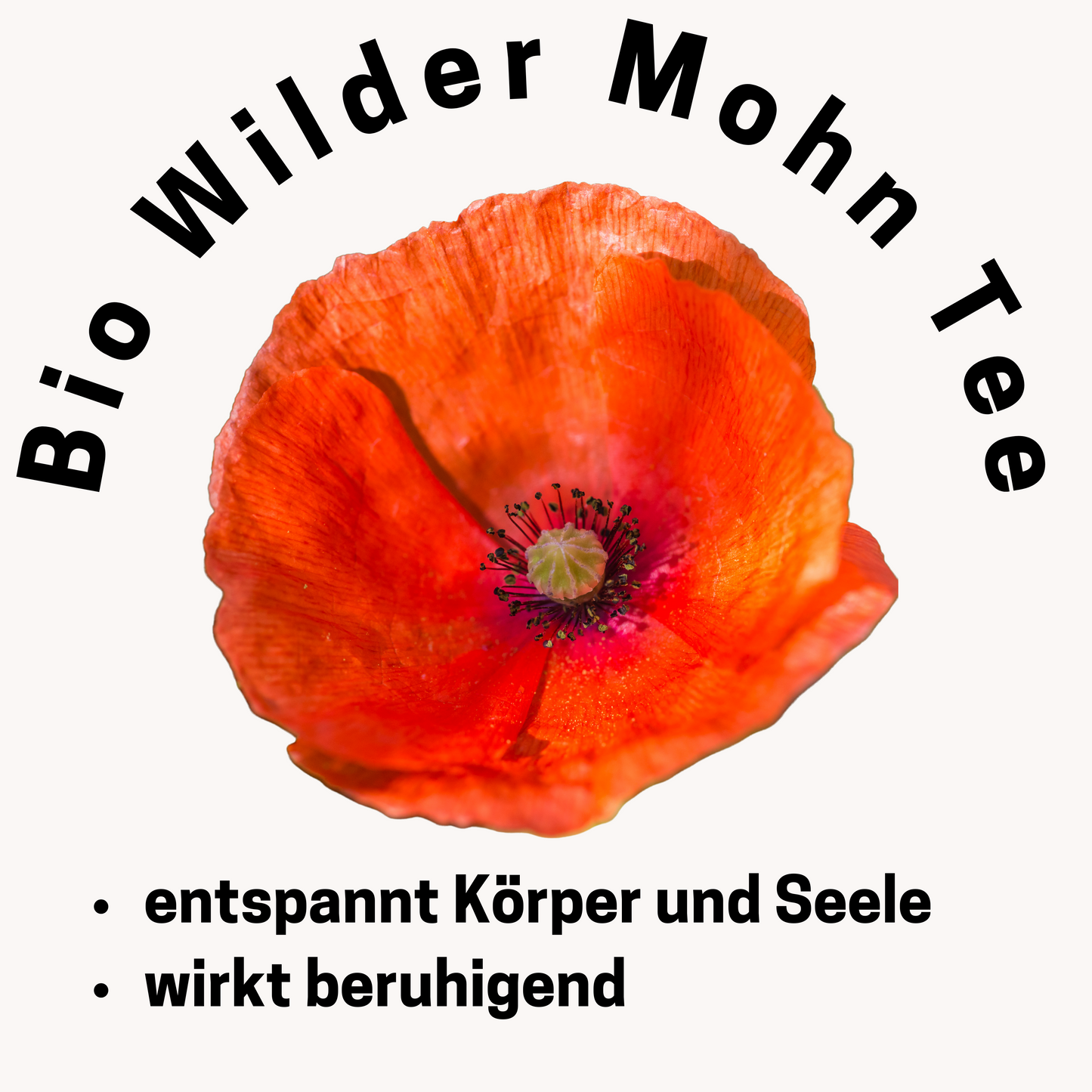 Bio Wilder Mohn Tee 5er / 10er Packung ( Papaver Rhoeas ) fertig befüllte ökologische Teebeutel zum Aufbrühen