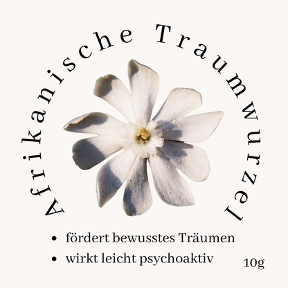 Afrikanische Traumwurzel; natürliche Wurzelteile getrocknet (Silene Capensis) 10g / Einheit