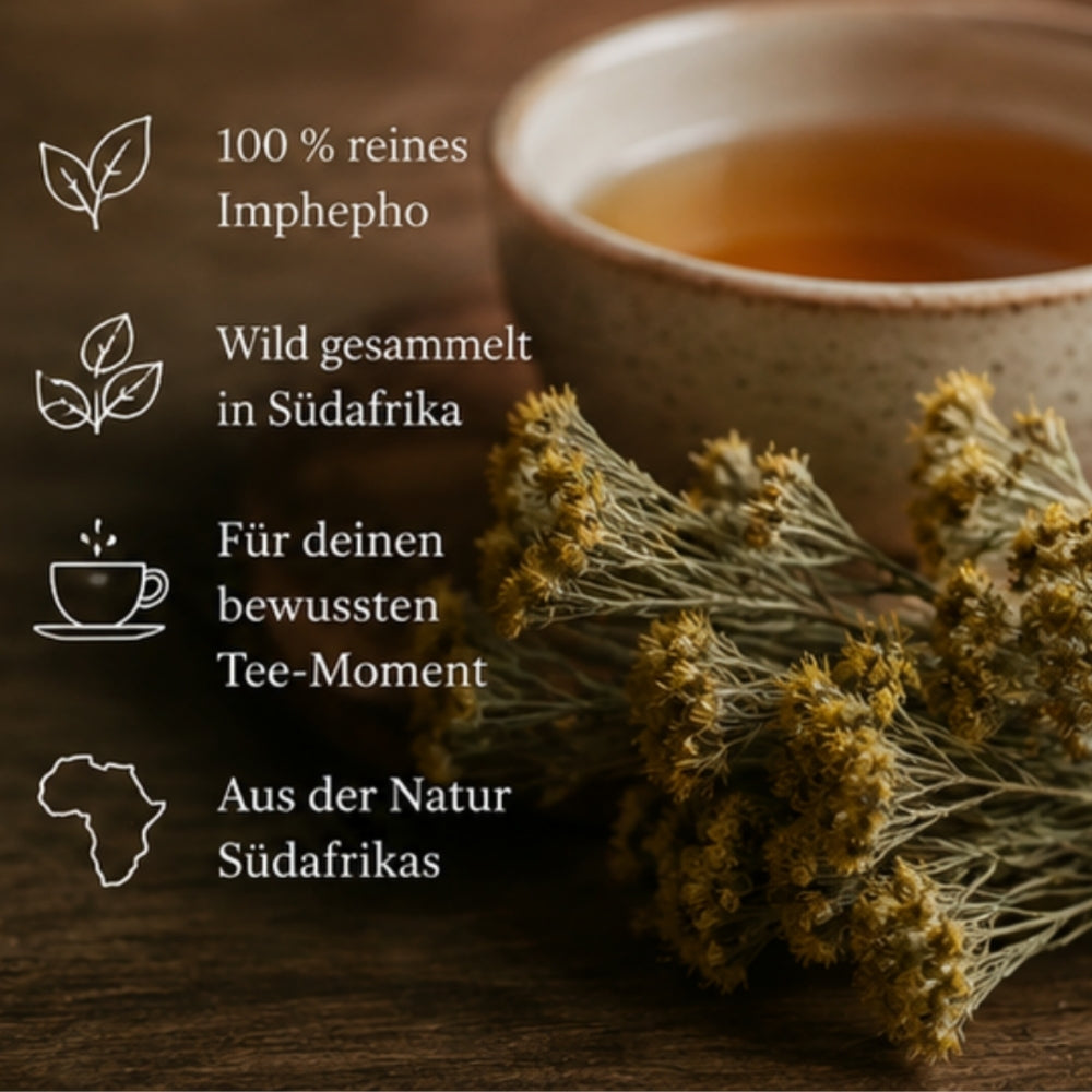 Imphepho Tee aus Südafrika – 5er / 10er Packung (Helichrysum odoratissimum) fertig befüllte ökologische Teebeutel mit wild gesammeltem Imphepho zum Aufbrühen