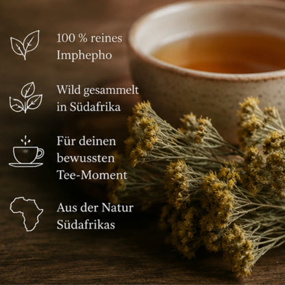 Imphepho Tee aus Südafrika – 5er / 10er Packung (Helichrysum odoratissimum) fertig befüllte ökologische Teebeutel mit wild gesammeltem Imphepho zum Aufbrühen
