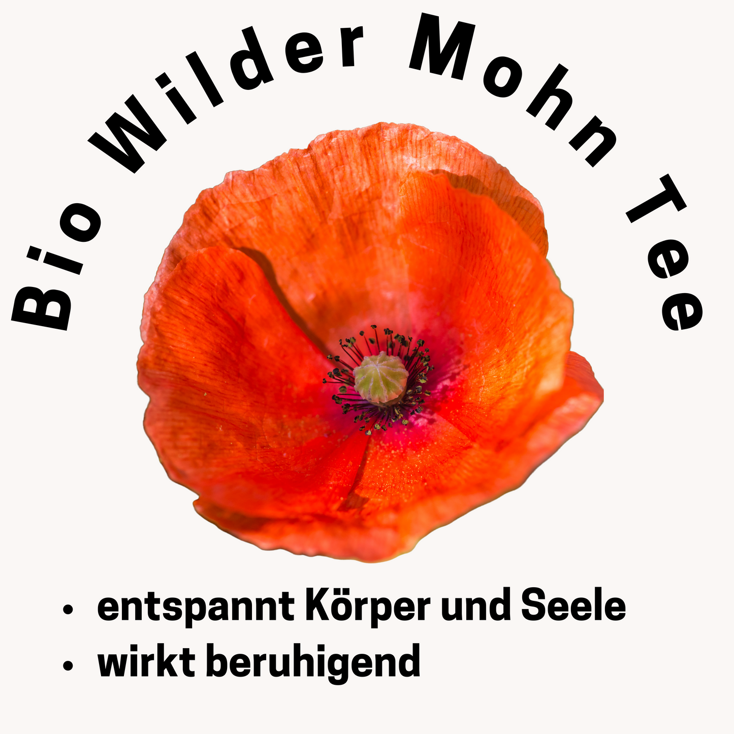 Bio Wilder Mohn Tee 5er / 10er Packung ( Papaver Rhoeas )  fertig befüllte ökologische Teebeutel zum Aufbrühen