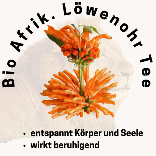 Bio Afrikanisches Löwenohr / Wild Dagga Tee 5er / 10er / 20er Packung ( Leonotis Leonurus  ) fertig befüllte ökologische Teebeutel zum Aufbrühen